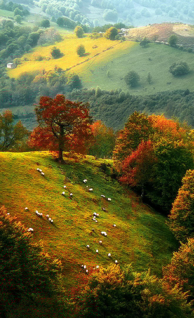 La vallée des Aldudes
